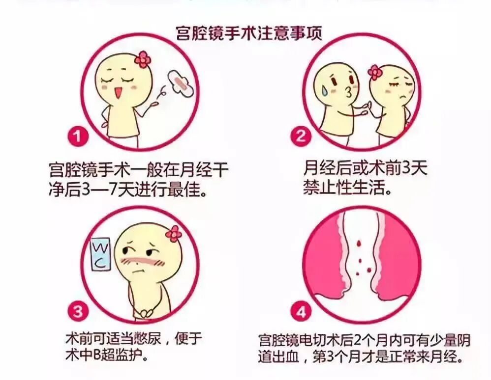 妇科诊疗设备有哪些【新技术 新发展】成县中医医院妇产科引进新设备“宫腔镜”_https://www.jmylbn.com_新闻资讯_第27张