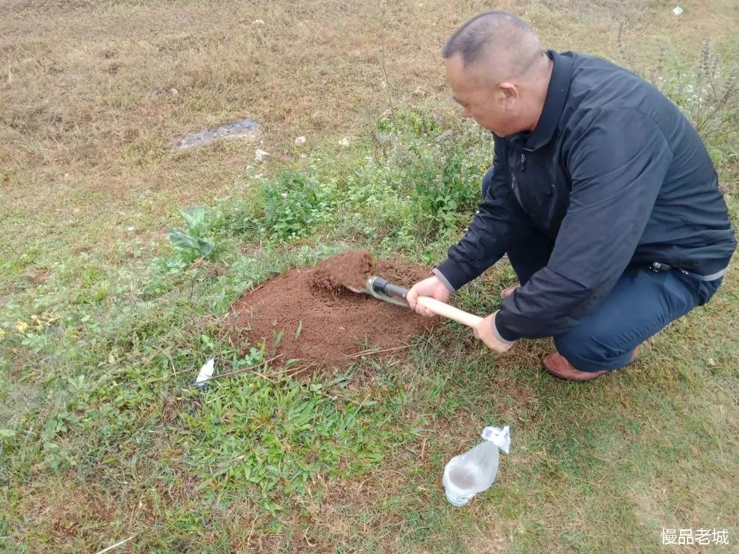 在田間地頭,河堤岸邊,農戶家中發現一種紅色螞蟻,叮咬人後,奇癢難止