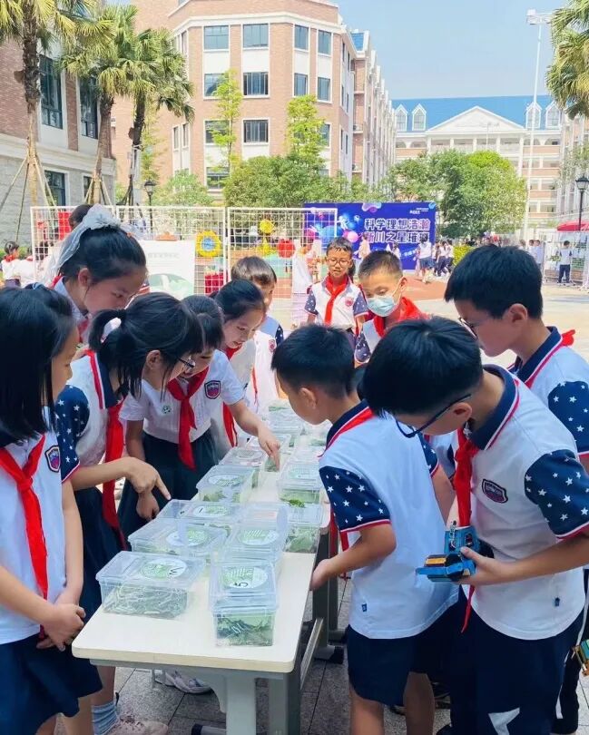 爱科学、创未来、乐成长——新川科技节嗨翻天！