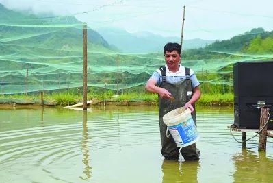 致富经泥鳅养殖_养殖泥鳅挣钱吗_致富养殖泥鳅视频