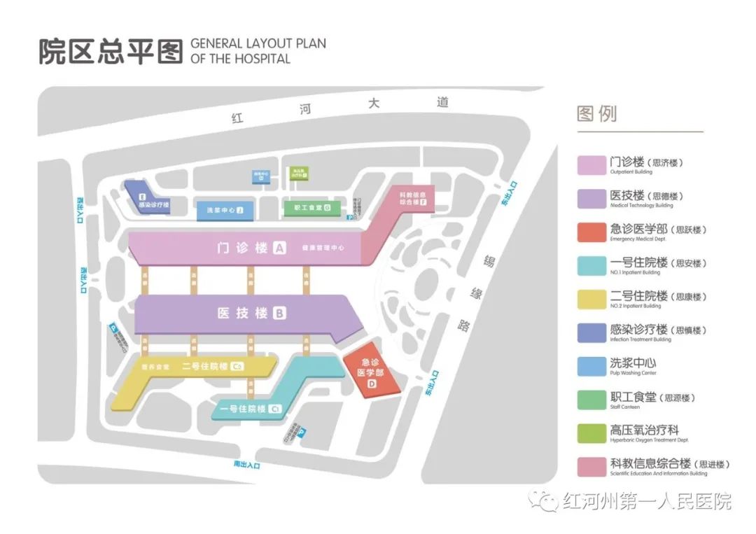 为什么输血不能用小针麻醉针上艺术——可可糖麻醉科普系列（四）_https://www.jmylbn.com_新闻资讯_第28张
