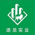 造龙实业