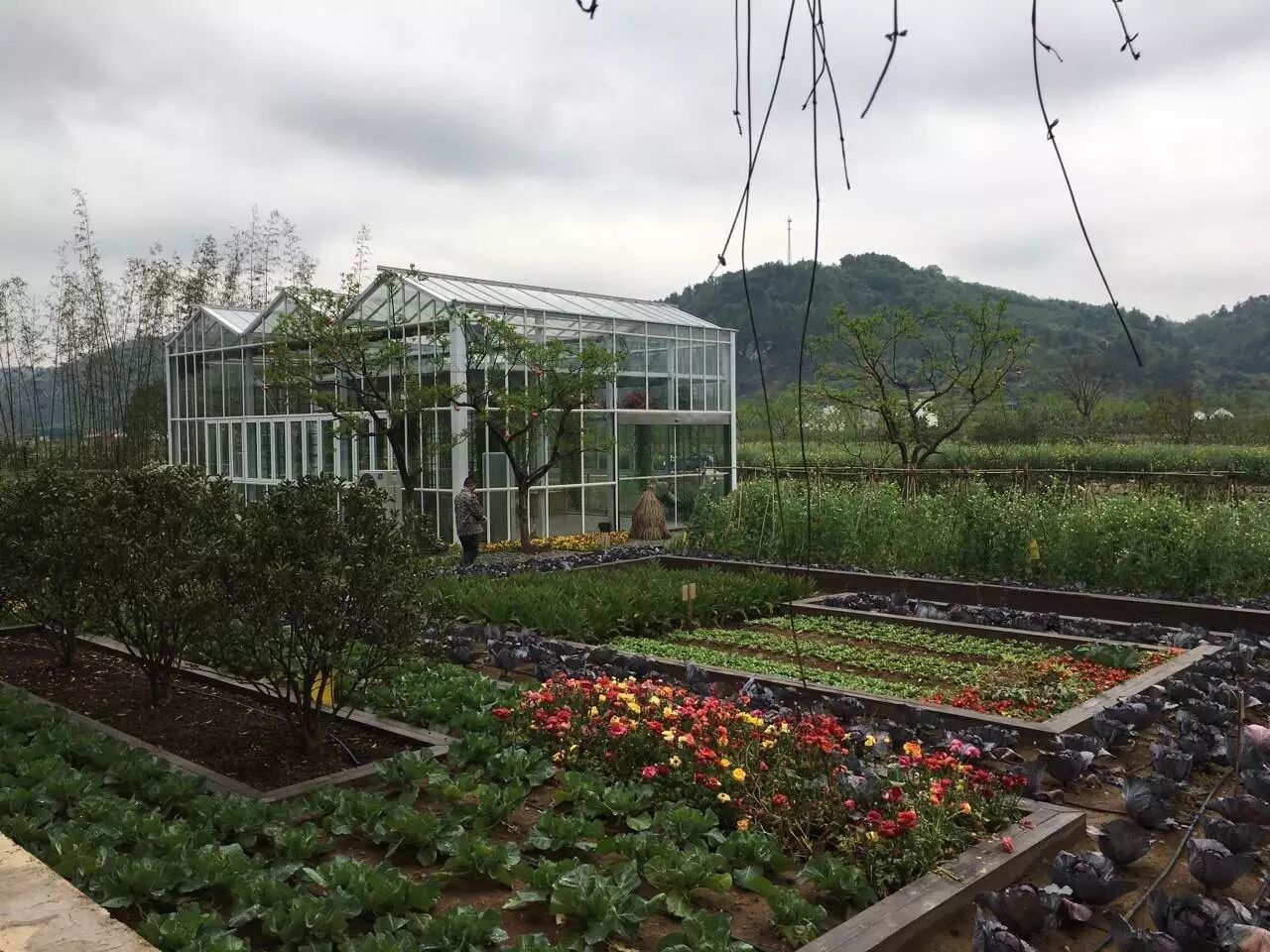 有限公司生产管理部经理陈彬介绍称,蓝城农业工作人员约有100-200人