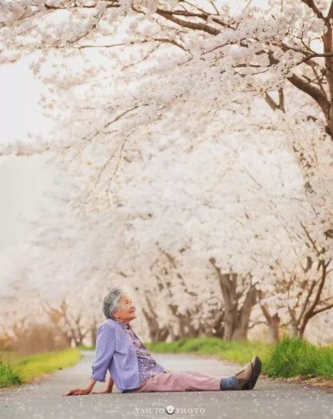 櫻花樹下85歲奶奶和柴犬一張圖片，獲12萬人點讚：