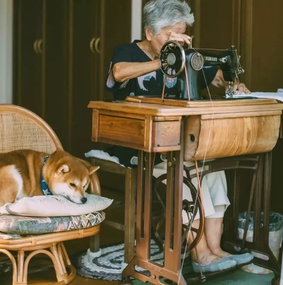 櫻花樹下85歲奶奶和柴犬一張圖片，獲12萬人點讚：