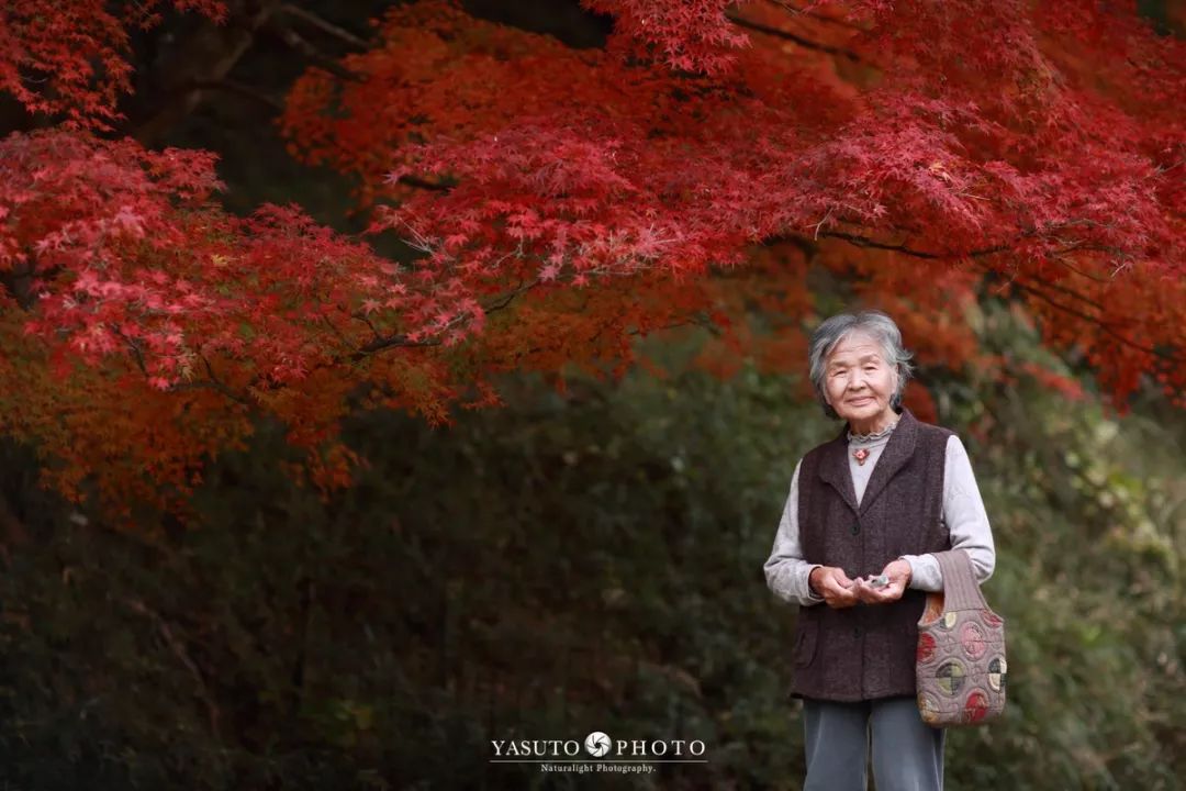 櫻花樹下85歲奶奶和柴犬一張圖片，獲12萬人點讚：