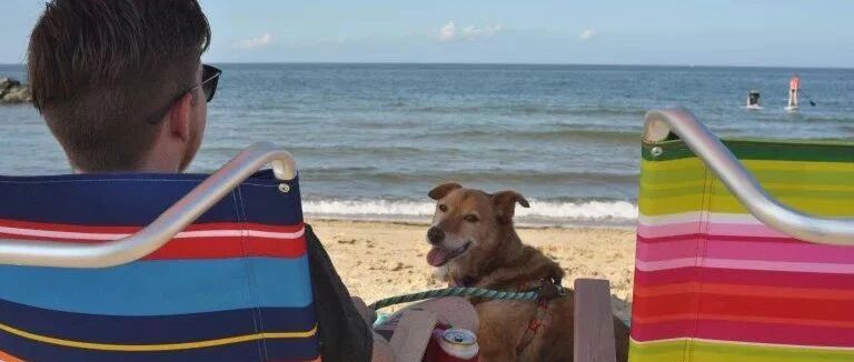 她被锁住、虐待12年，一生只活了16天：下辈子，我们再爱你···