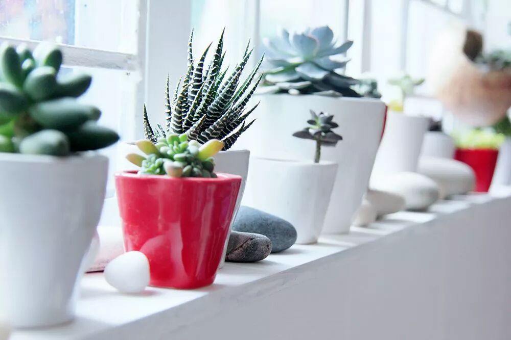 千味人生 05 12 18