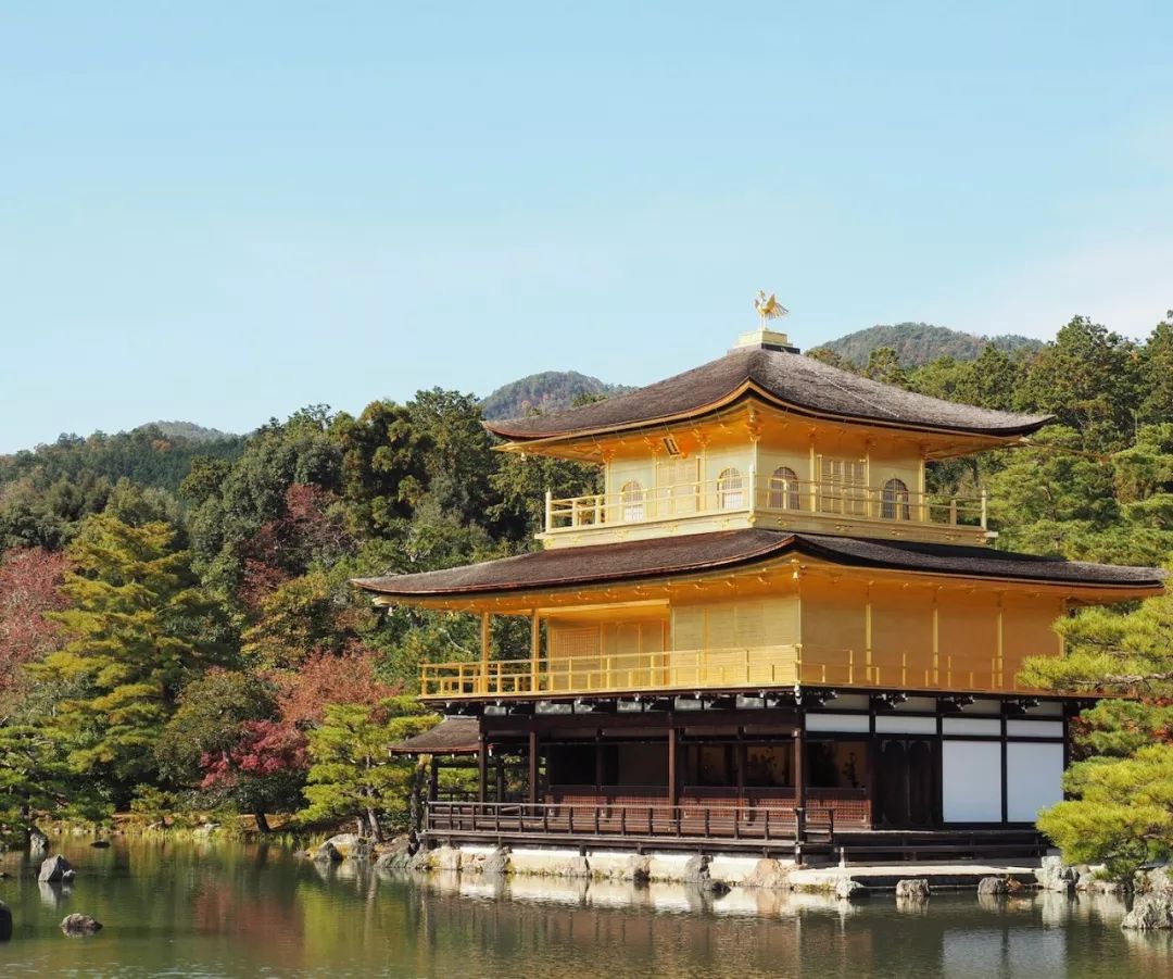 京都有座铜阁寺 你知道不 进击的多肉 微文库