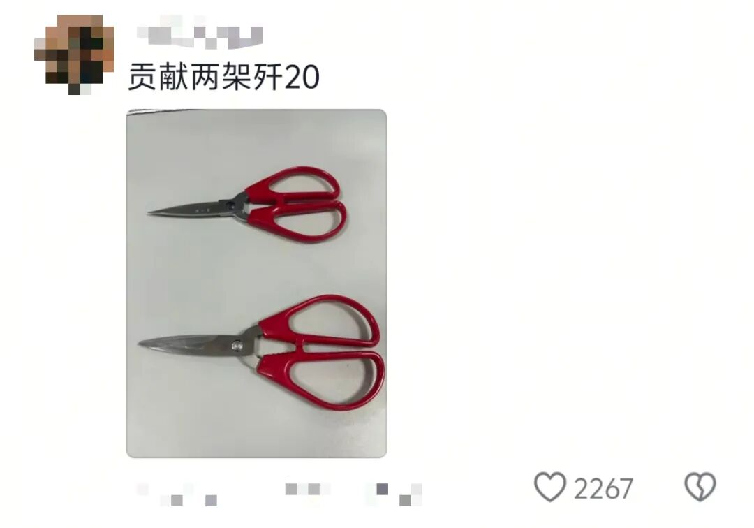 小孩姐扛着