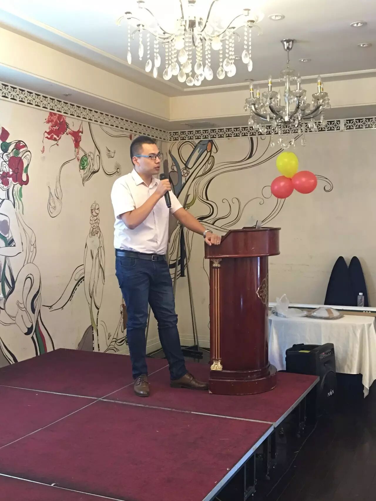 绿能照明上海区域第一届产品交流会--dicd aduiotechnik 德高美科音响