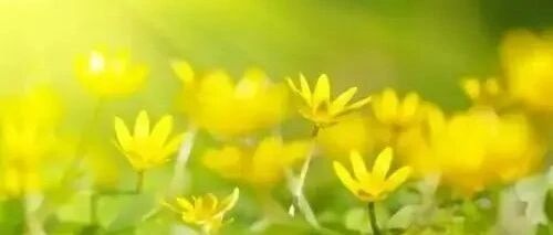 这才是一个人灵魂深处的修养