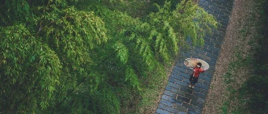 ​什么是人生，这是最优雅的回答！