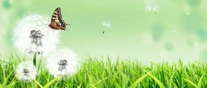 关于工作的三点建议