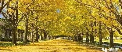 智者论格局：你的格局，决定人生上限