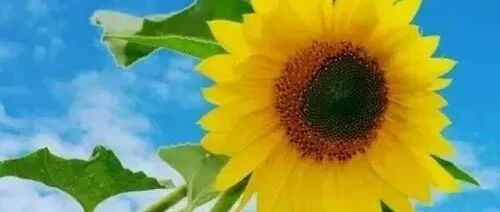 改变人生的，不是大道理，而是小习惯