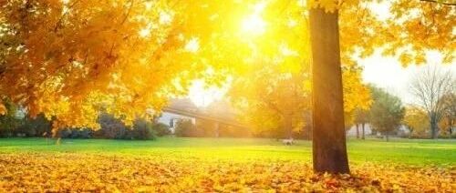 曾国藩240个子孙，无一个败家子，就凭这5句话