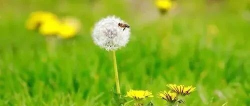 辞旧迎新之际，给自己点个赞！