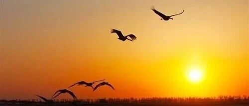 为什么有些人，做什么都能成功？