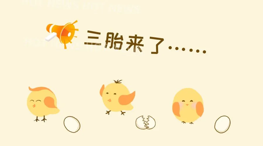 【新铭资讯】独生子女、二胎、三胎税收优惠政策汇总来了! 【新铭资讯】独生子女、二胎、三胎税收优惠政策汇总来了!
