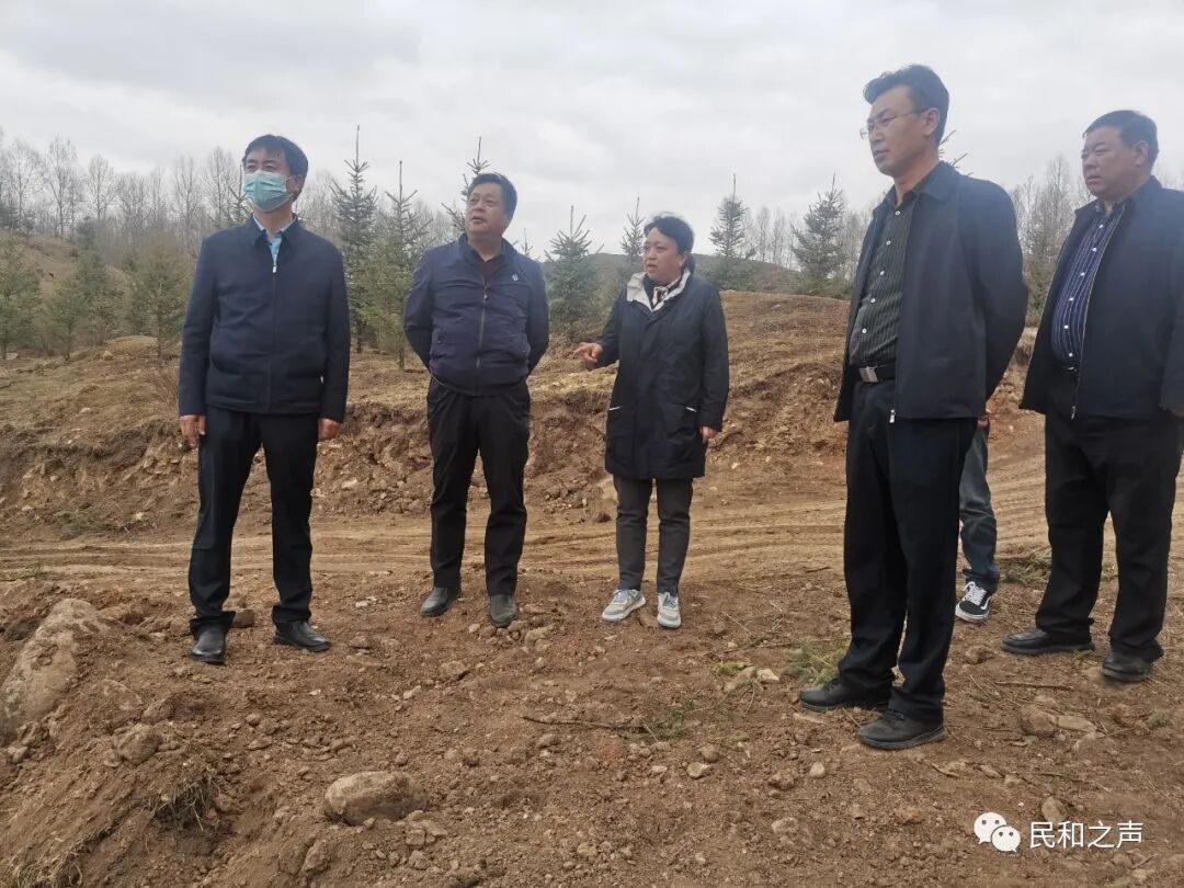 县长马晓瑜带队巡林督导调研林长制工作