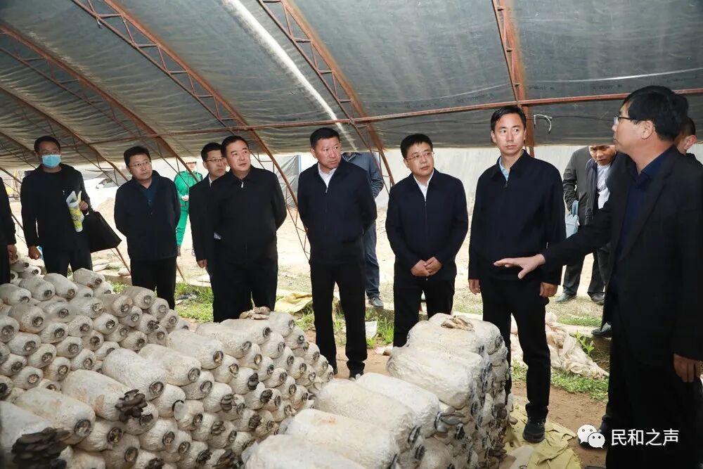 县委书记毛学鸿深入一线调研督导乡村振兴产业项目推进工作