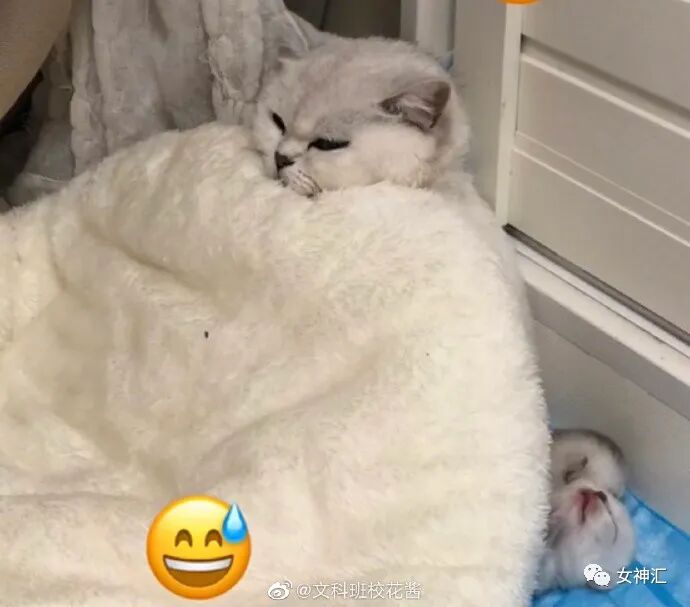 【爆笑】“求求你把自拍删了吧！”某宝卖家哭诉，哈哈哈哈比差评更可怕的买家秀！​（组图） - 5