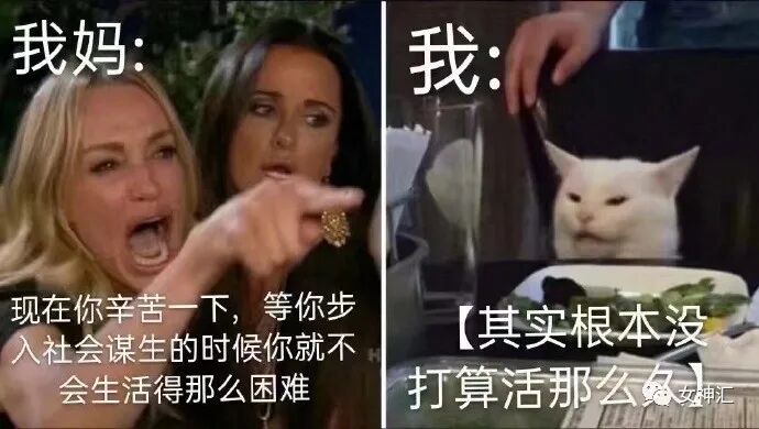 【爆笑】“杨幂魏大勋被拍到疑似同居？”哈哈哈哈沙雕网友评论一针见血（组图） - 14