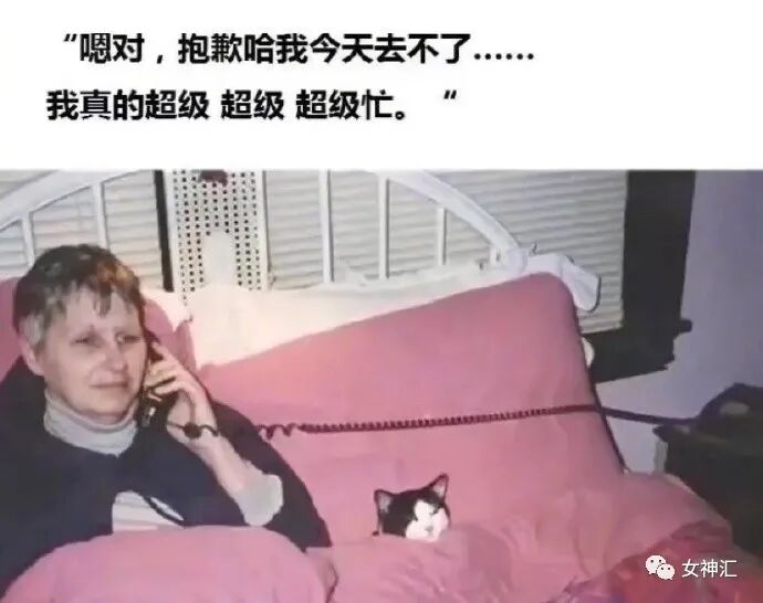 【爆笑】“杨幂魏大勋被拍到疑似同居？”哈哈哈哈沙雕网友评论一针见血（组图） - 13