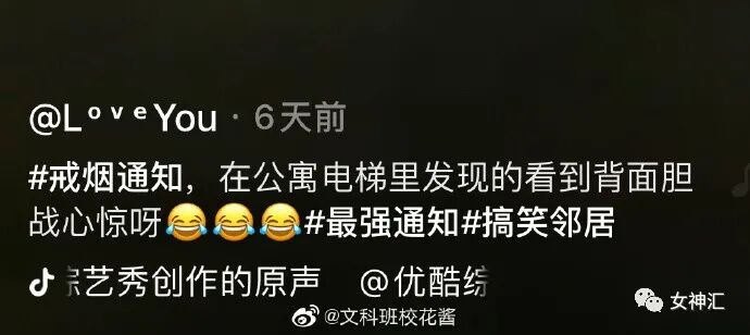 【爆笑】“杨幂魏大勋被拍到疑似同居？”哈哈哈哈沙雕网友评论一针见血（组图） - 16