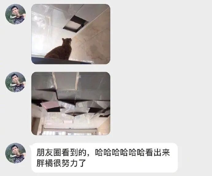 【爆笑】“每次出轨都会删聊天记录？”当代海王玩的太花了吧，瑟瑟发抖！（视频/组图） - 22