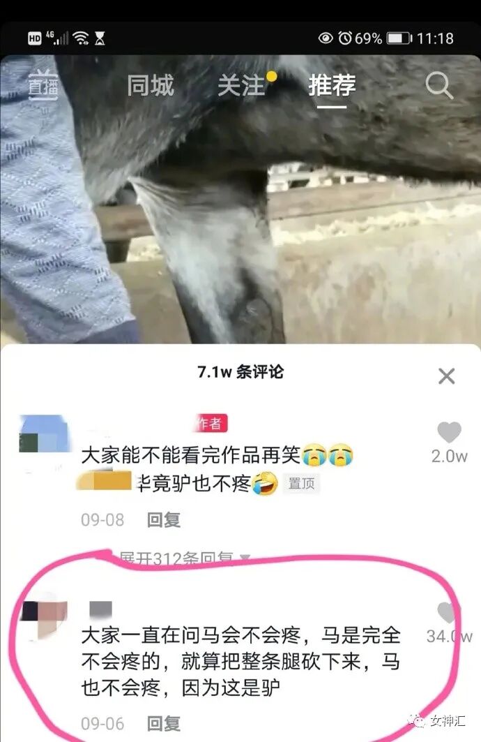 【爆笑】“国庆男友定了一晚10w的主题酒店，打开房门我惊呆了...”太野了！（视频/组图） - 15