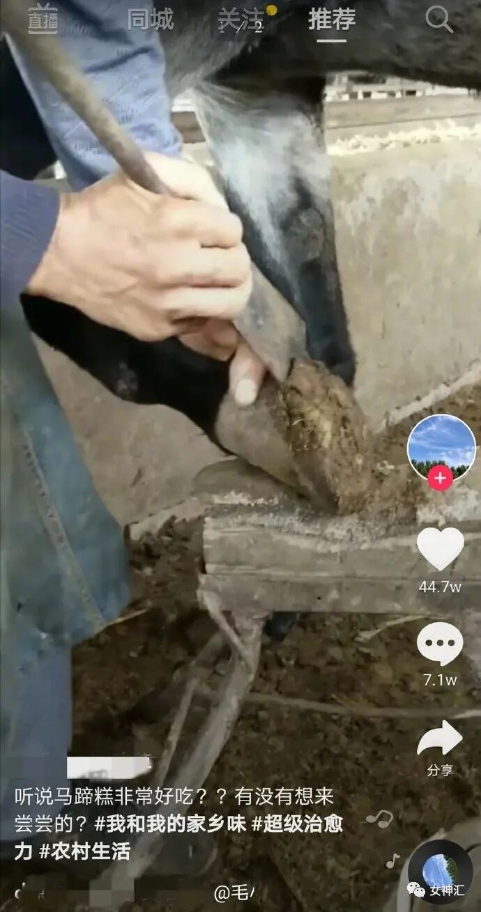 【爆笑】“国庆男友定了一晚10w的主题酒店，打开房门我惊呆了...”太野了！（视频/组图） - 14
