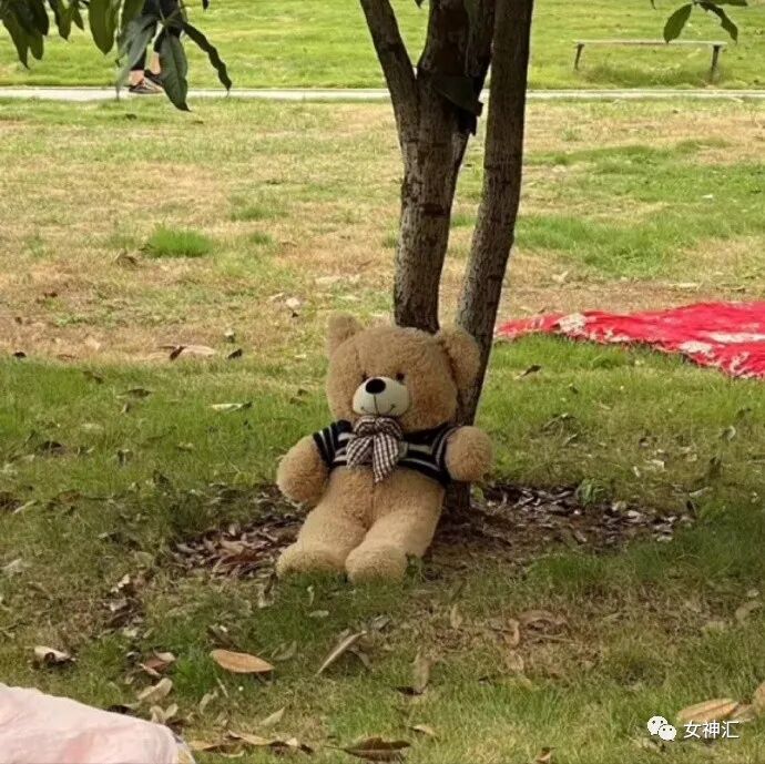 【爆笑】为见网红男友疯狂转账10w...见面后当场吓哭！哈哈哈太刺激！（组图） - 14