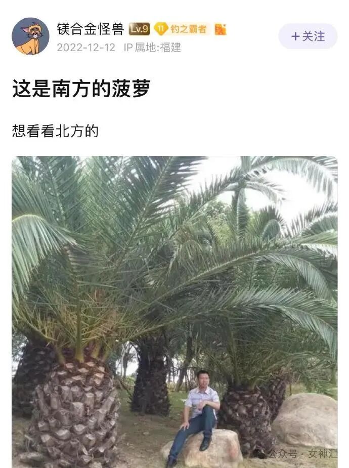【爆笑】miumiu四千五的袜套火了？网友惊呆:离了个大谱（组图） - 35