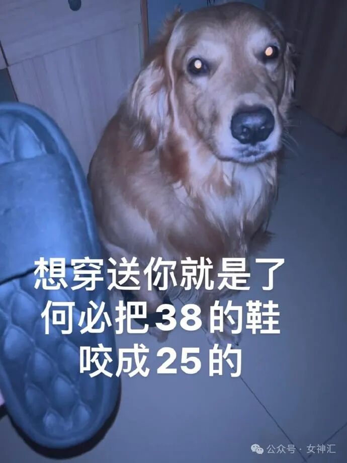 【爆笑】miumiu四千五的袜套火了？网友惊呆:离了个大谱（组图） - 7