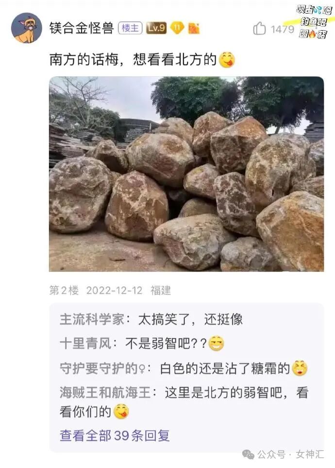 【爆笑】miumiu四千五的袜套火了？网友惊呆:离了个大谱（组图） - 34