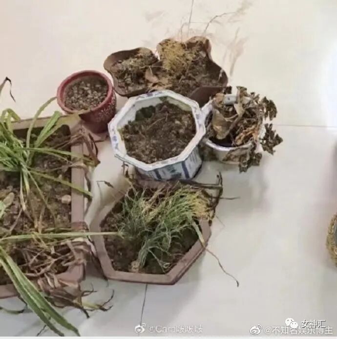 【爆笑】恋爱期间，男友妈妈转给我180w让我随便花？网友酸哭：这是什么神仙婆婆？（组图） - 7