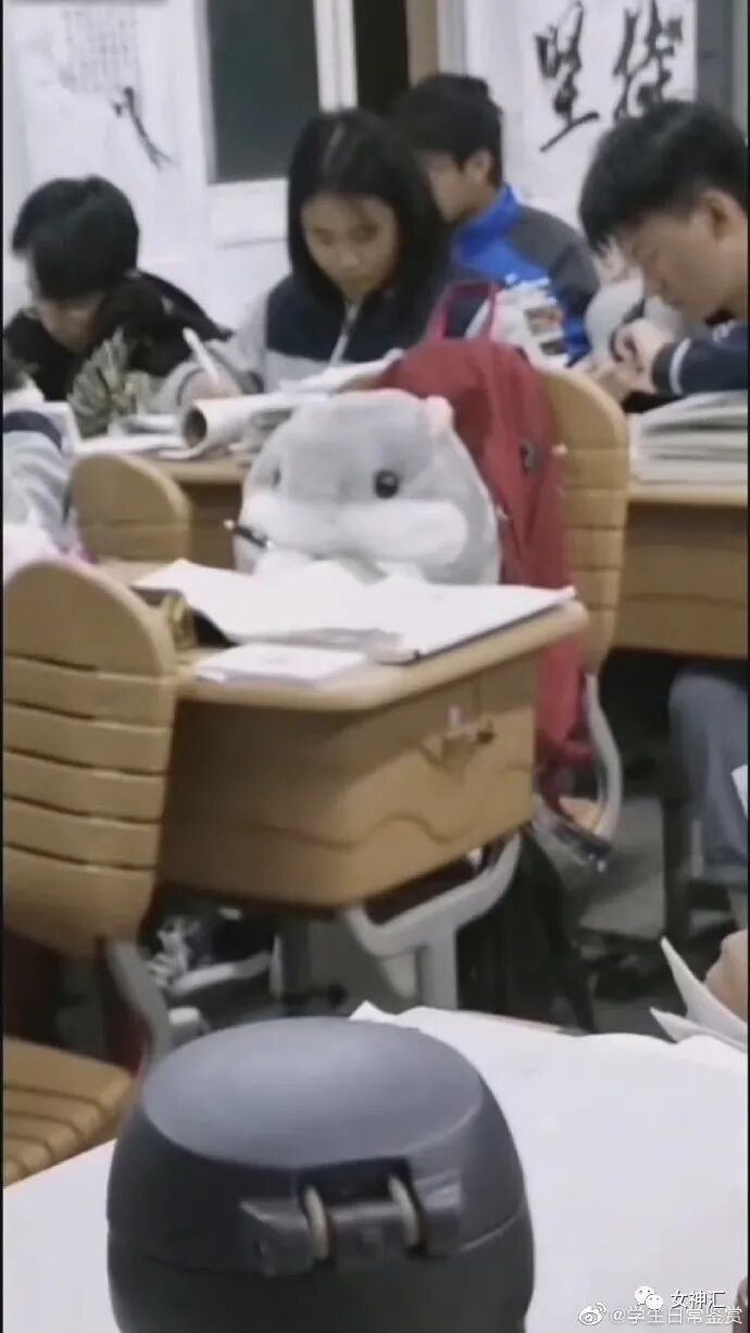 【爆笑】恋爱期间，男友妈妈转给我180w让我随便花？网友酸哭：这是什么神仙婆婆？（组图） - 43