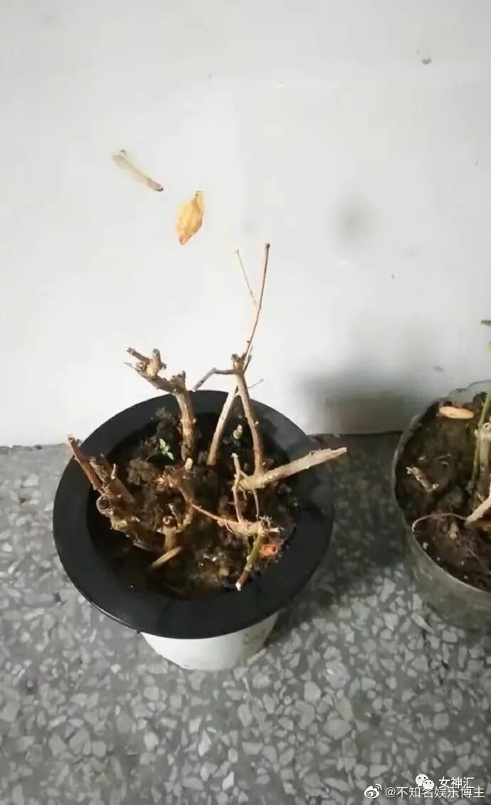 【爆笑】恋爱期间，男友妈妈转给我180w让我随便花？网友酸哭：这是什么神仙婆婆？（组图） - 9