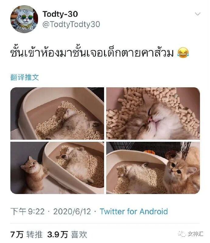 【爆笑】“胸卸了，下巴也卸了？”直播时看到网红当场卸妆...画面过于刺激！（组图） - 32