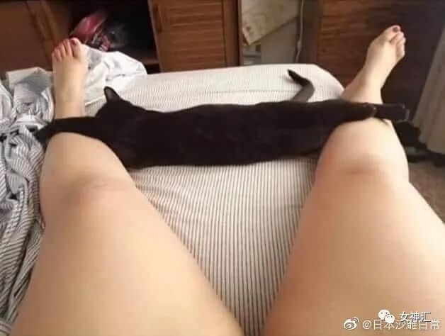 【爆笑】“前男友分手后不换情侣头像？原因...”海王套路深啊！（组图） - 31