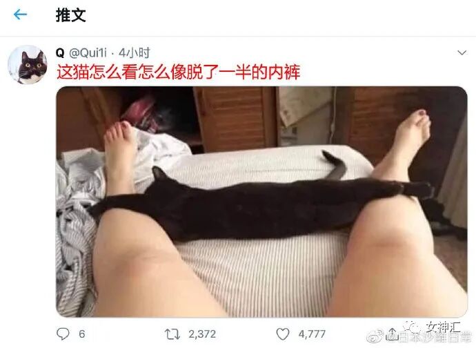 【爆笑】“前男友分手后不换情侣头像？原因...”海王套路深啊！（组图） - 30