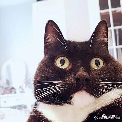 【爆笑】“前男友分手后不换情侣头像？原因...”海王套路深啊！（组图） - 32