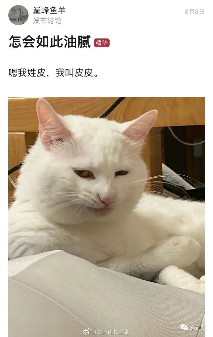 【爆笑】陈伟霆何穗疑似恋情曝光？两人多次被拍到回家过夜？哈哈哈网友评论亮瞎眼！（组图） - 14