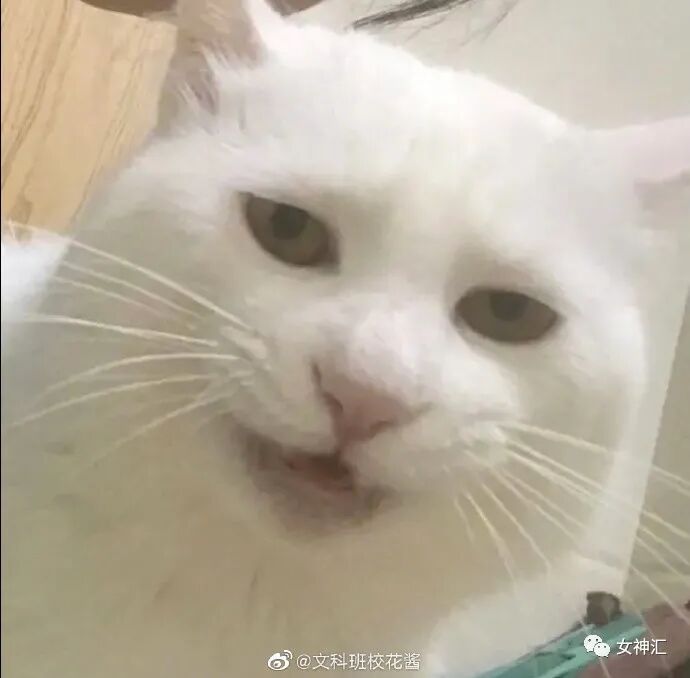 【爆笑】陈伟霆何穗疑似恋情曝光？两人多次被拍到回家过夜？哈哈哈网友评论亮瞎眼！（组图） - 18