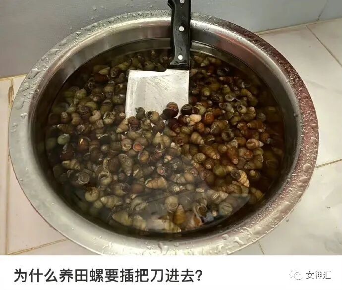 【爆笑】“李易峰PC被抓后的朋友圈意外流出..？”沙雕网友评论太野了！（组图） - 35