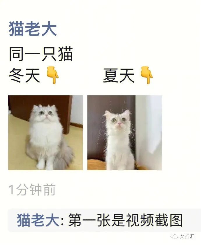 【爆笑】“李易峰PC被抓后的朋友圈意外流出..？”沙雕网友评论太野了！（组图） - 59