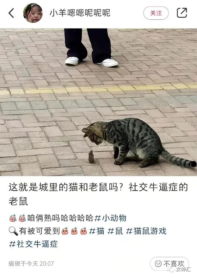 【爆笑】千万别相信网上的网红景点，否则..?!网友：P图P出逆天境界！（组图） - 17
