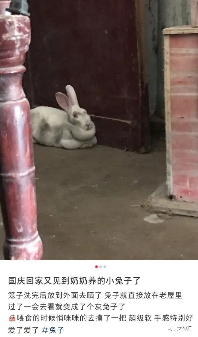 【爆笑】千万别相信网上的网红景点，否则..?!网友：P图P出逆天境界！（组图） - 6